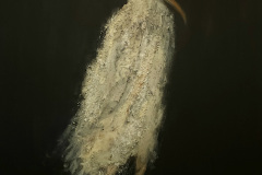 "Kameradin" Acryl,Strukturpaste,Stoff auf Leinwand 50 cm x 50 cm